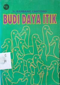 Budidaya Itik