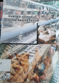 Sukses usaha budidaya ayam ras petelur